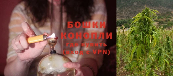 гидра Киренск