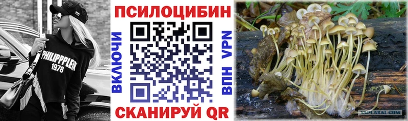 Купить  Апшеронск  Псилоцибиновые грибы Magic Shrooms 